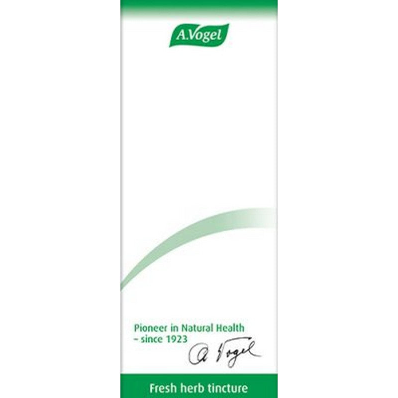 A.Vogel Ginsavena 50ml