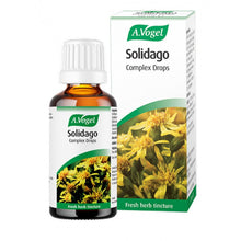 A.Vogel Solidago Complex 50ml