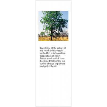 A.Vogel Neemcare Insect Repellent 50ml