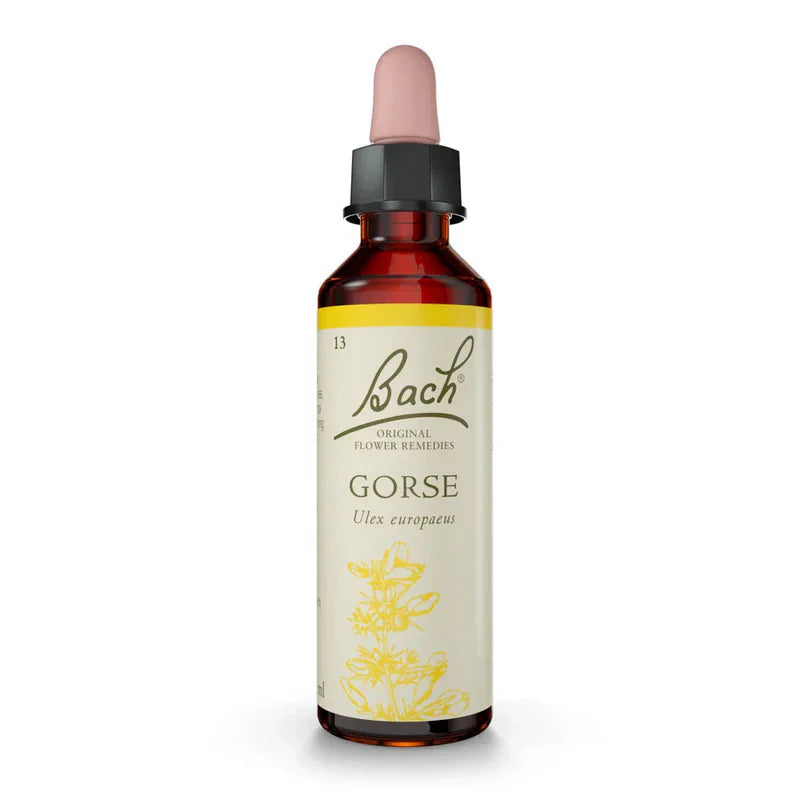 Bach Original Flower Remedies Gorse 20ml  Liquid