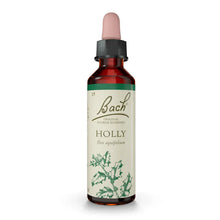 Bach Original Flower Remedies Holly 20ml  Liquid