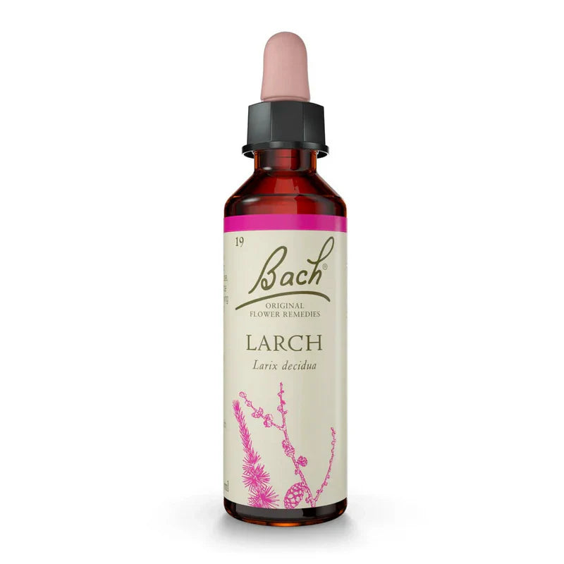 Bach Original Flower Remedies Larch 20ml  Liquid