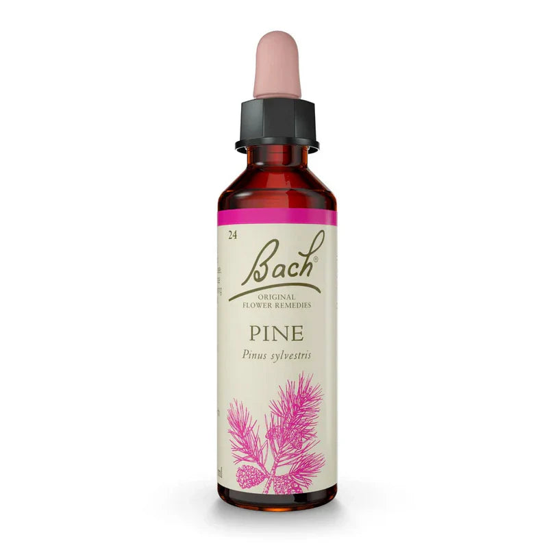 Bach Original Flower Remedies Pine 20ml  Liquid