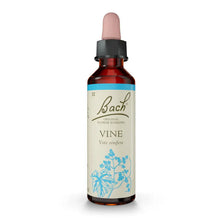 Bach Original Flower Remedies Vine 20ml  Liquid