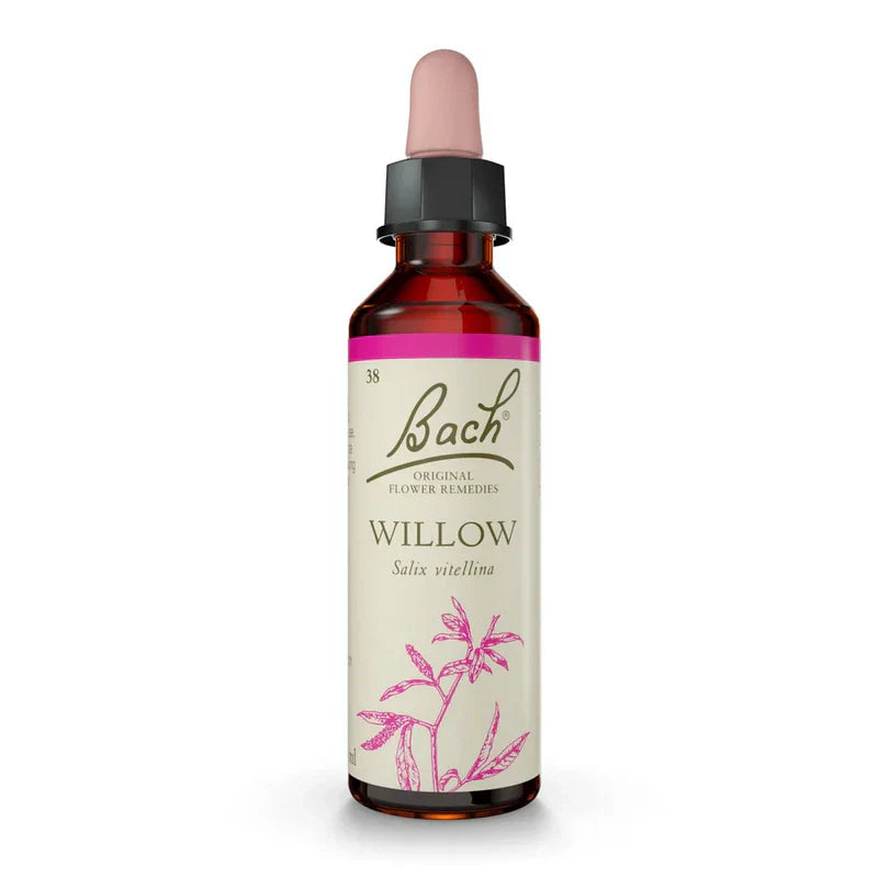 Bach Willow flower remedy dropper bottle on a white background