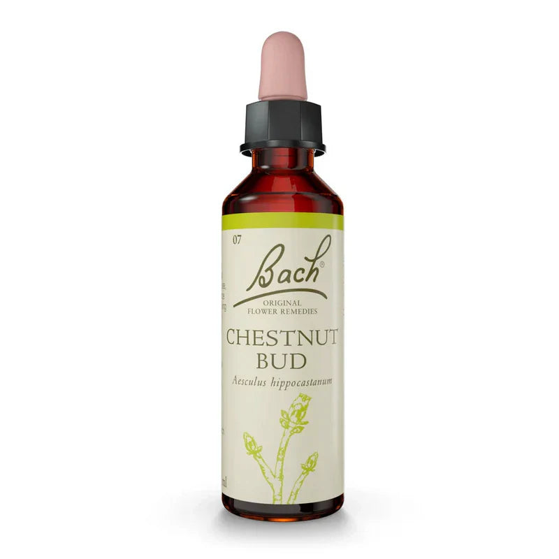 Bach Chestnut Bud dropper bottle on a white background