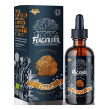 Bristol Fungarium Organic Chaga Tincture 50ml
