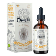 Bristol Fungarium Organic Lion's Mane Tincture 50ml