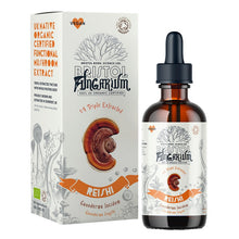 Bristol Fungarium Organic Reishi Tincture 50ml
