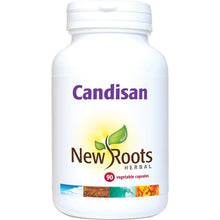 New Roots Candisan