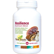 New Roots Resilience Mushroom Blend 90 Veg Capsules