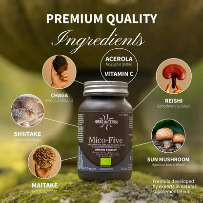 HIFAS da TERRA Mico Five CHAGA 70 Capsules