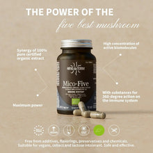 HIFAS da TERRA Mico Five CHAGA 70 Capsules