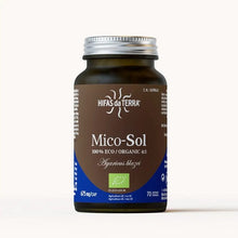HIFAS da TERRA Mico-Sol 70 Capsules