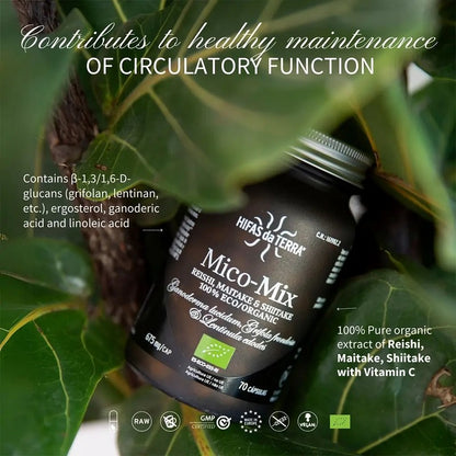 HIFAS da TERRA Mico-Mix 70 Capsules