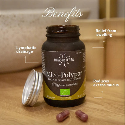 HIFAS da TERRA Mico-Polypor 70 Capsules