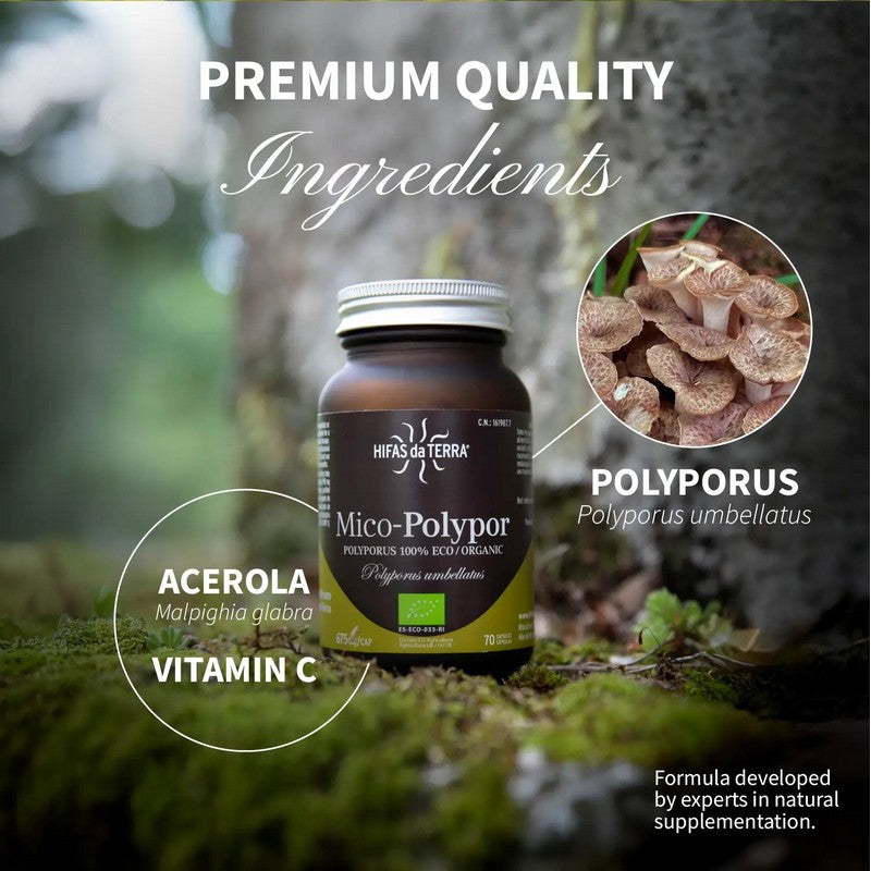 HIFAS da TERRA Mico-Polypor 70 Capsules