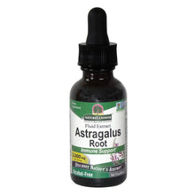 Nature's Answer Astragalus Root Alchohol Free 30ml