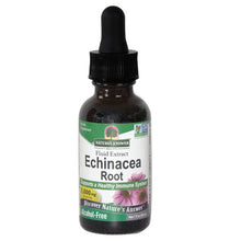 Nature's Answer Echinacea Root Alchohol Free