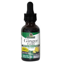 Nature's Answer Ginger Root Alchohol Free 30ml