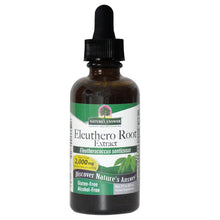 Nature's Answer Ginseng Root - Siberian Alchohol Free 60ml