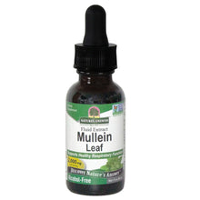 Nature's Answer Mullein Leaf Alchohol Free 30ml