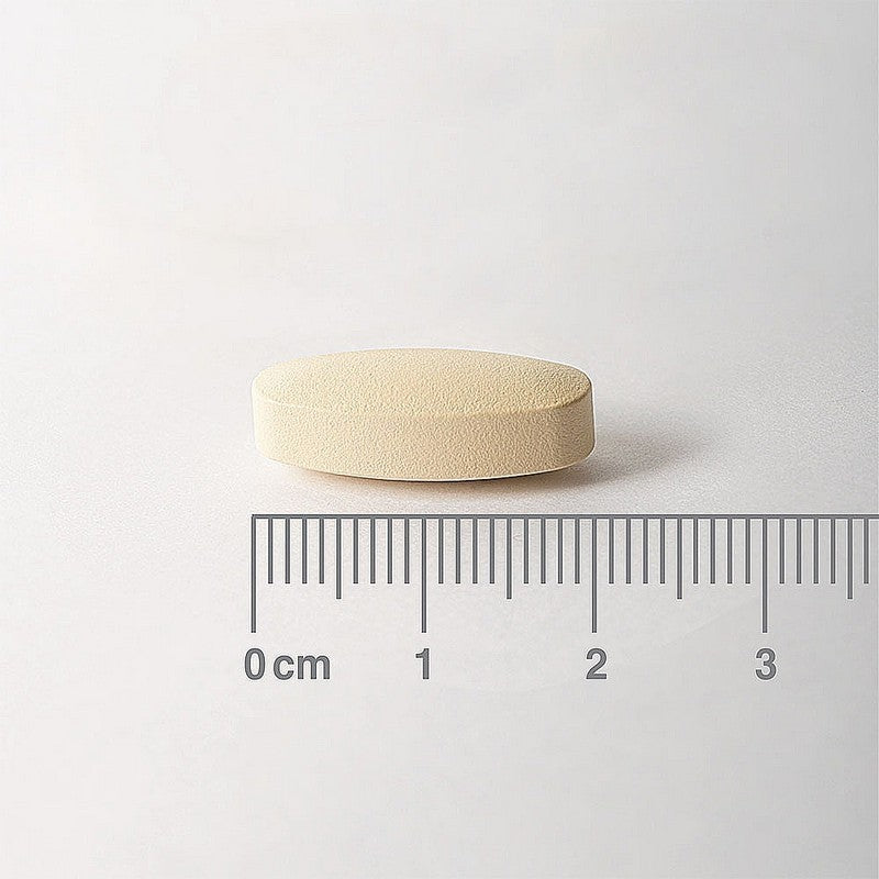 Lamberts Rutin & Vitamin C 500mg + Bioflavonoids 90 Tablets