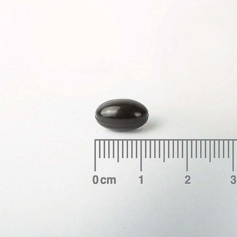 Black Capsule with a ruler for scale on a white background