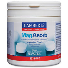 Lamberts Magasorb®