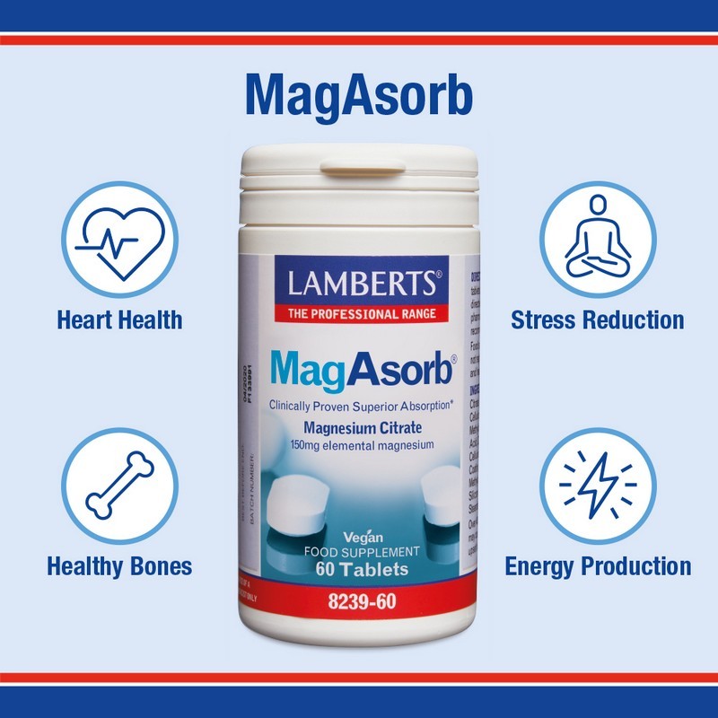 Lamberts Magasorb®