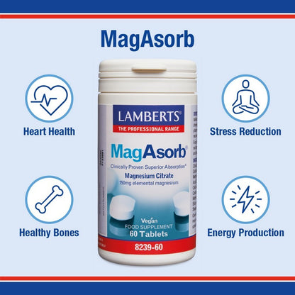 Lamberts Magasorb®