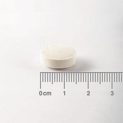 Lamberts Zinc Plus Lozenges 100 Lozenges