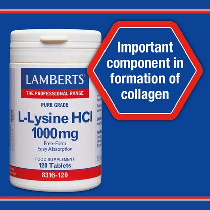 Lamberts L-Lysine 500mg 120 Tablets