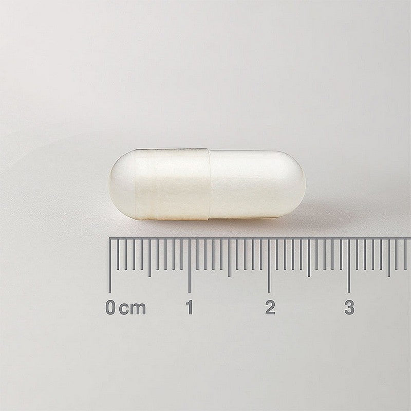 Lamberts L-Methionine 500mg 60 Capsules