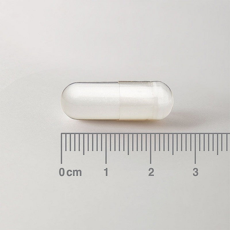Lamberts L-Ornithine 500mg 60 Capsules