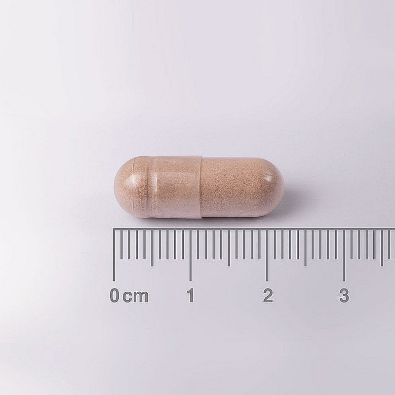 Lamberts L-Theanine 200mg 60 Tablets