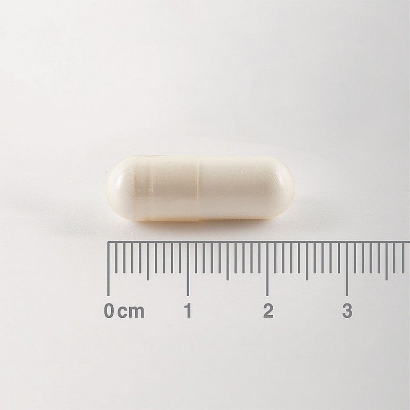 Lamberts BCAA 180 Capsules