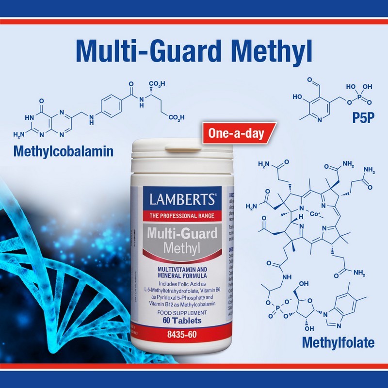 Lamberts MultiGuard Methyl 60 Tablets