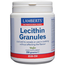 Lamberts Soya Lecithin Granules 250gm Granules
