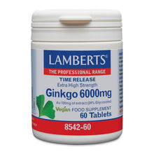Lamberts Ginkgo 6000mg