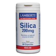 Lamberts Silica 200mg 90 Capsules