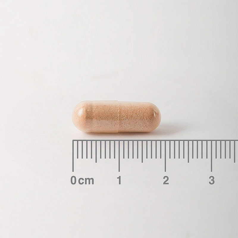 Lamberts Pycnogenol® 40mg 60 Capsules