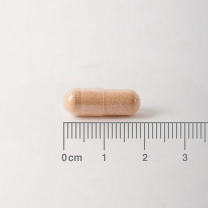 Lamberts Pycnogenol® 40mg 60 Capsules