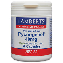 Lamberts Pycnogenol® 40mg 60 Capsules