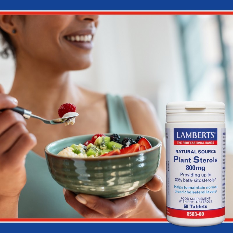 Lamberts Plant Sterols 800mg 60 Tablets