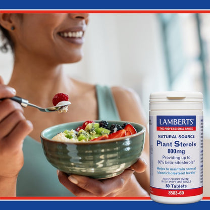 Lamberts Plant Sterols 800mg 60 Tablets