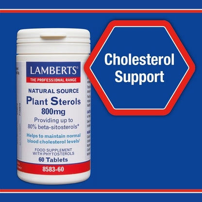 Lamberts Plant Sterols 800mg 60 Tablets