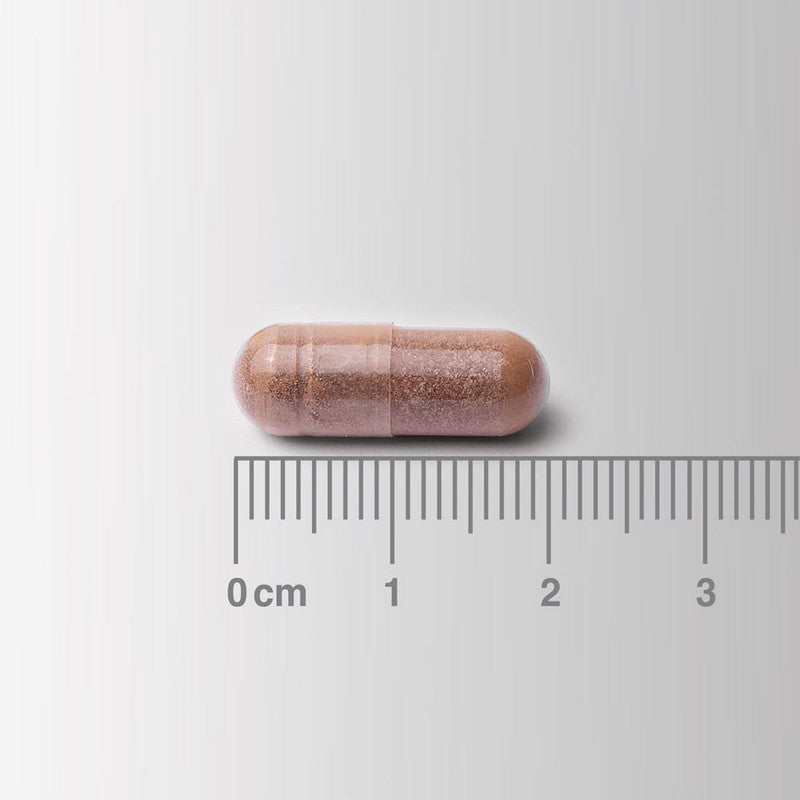 Lamberts Cogni-Focus (galangal extract) 30 Capsules