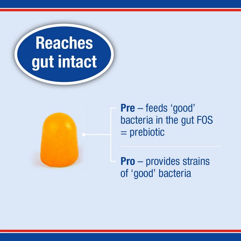 Lamberts BiomeBalance Gummies 30 Gummies