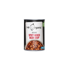 Mr Organic Spicy Mixed Bean Soup 400g